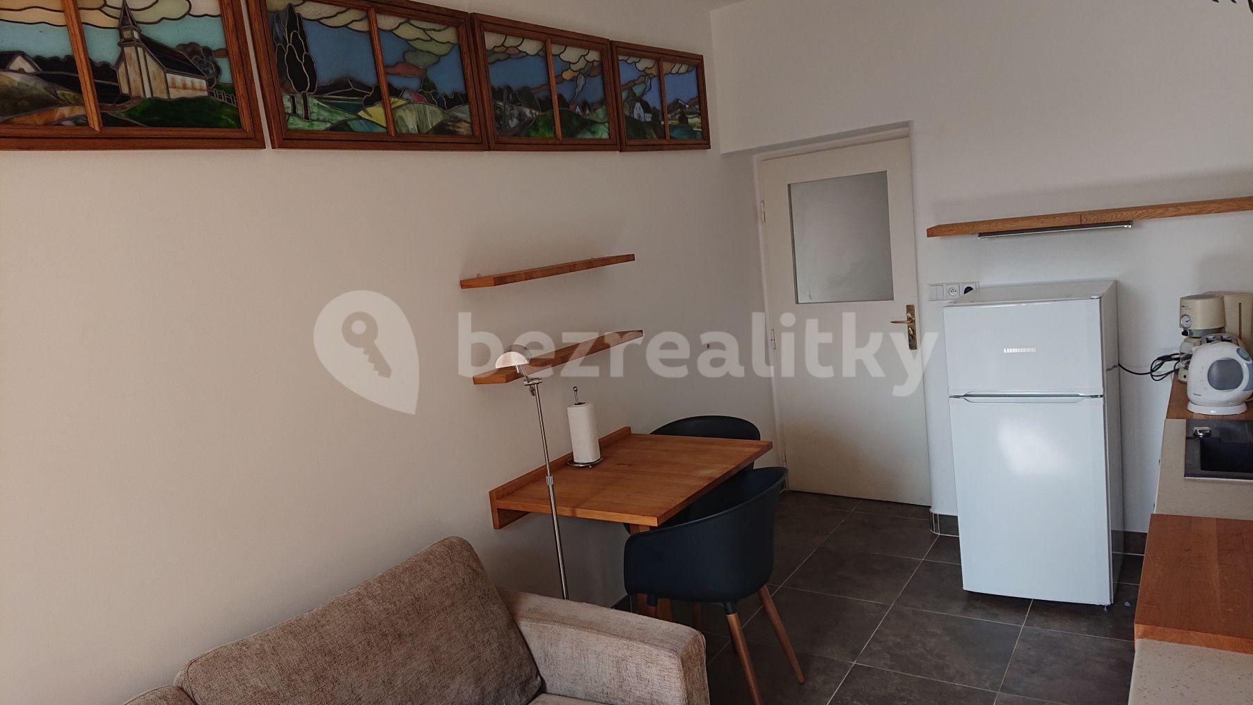 1 bedroom with open-plan kitchen flat to rent, 38 m², U Milosrdných, Prague, Prague