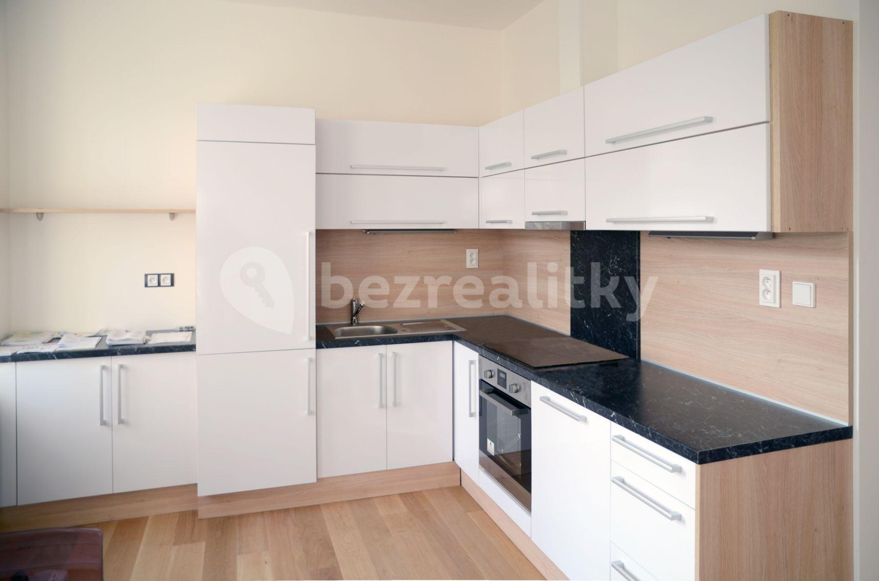 1 bedroom with open-plan kitchen flat to rent, 44 m², Rybalkova, Prague, Prague