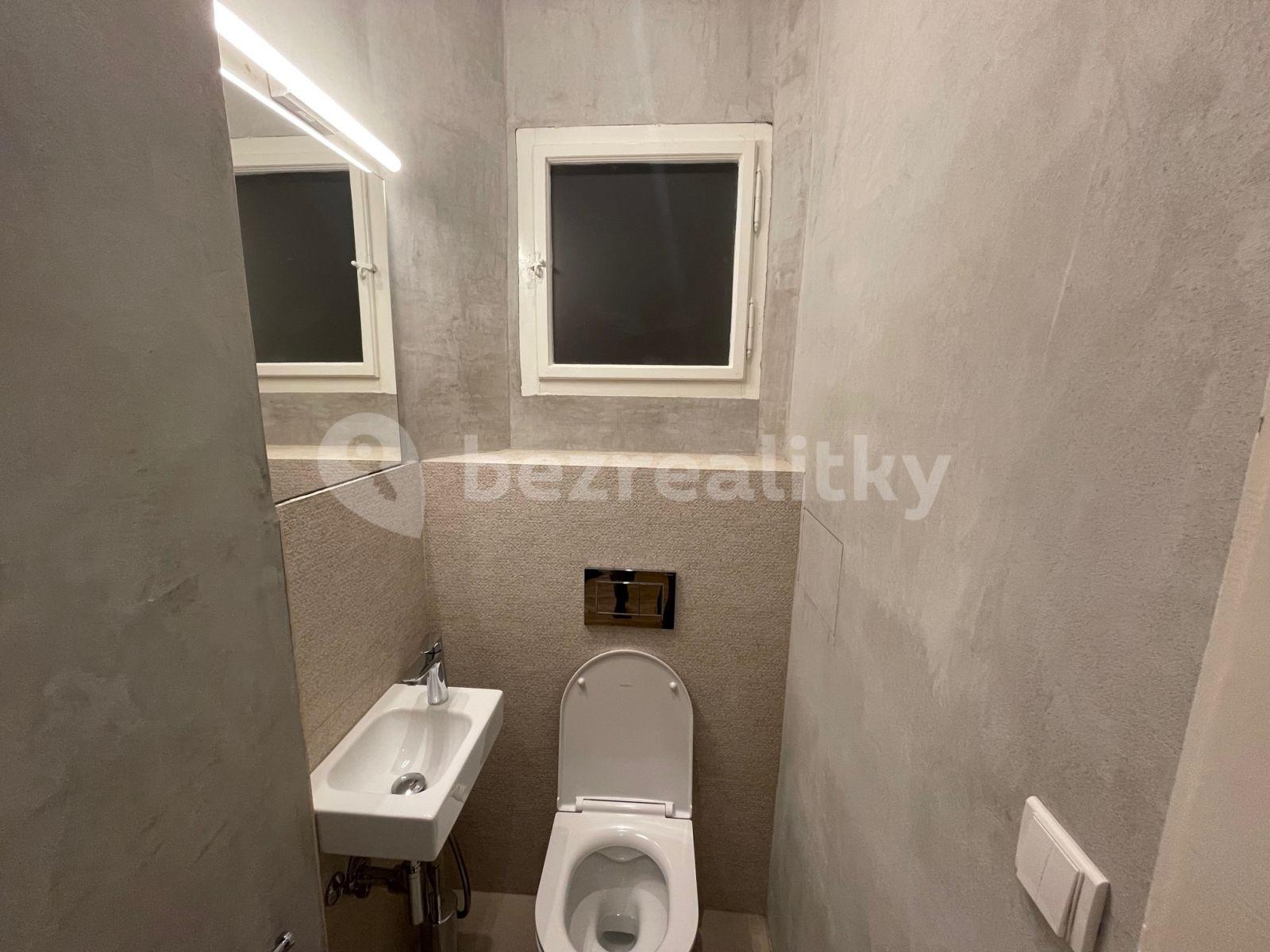 1 bedroom with open-plan kitchen flat to rent, 61 m², Záhořanského, Prague, Prague