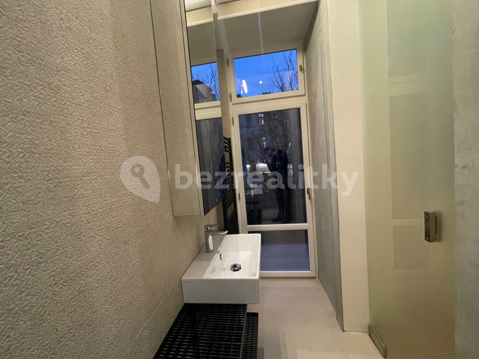 1 bedroom with open-plan kitchen flat to rent, 61 m², Záhořanského, Prague, Prague