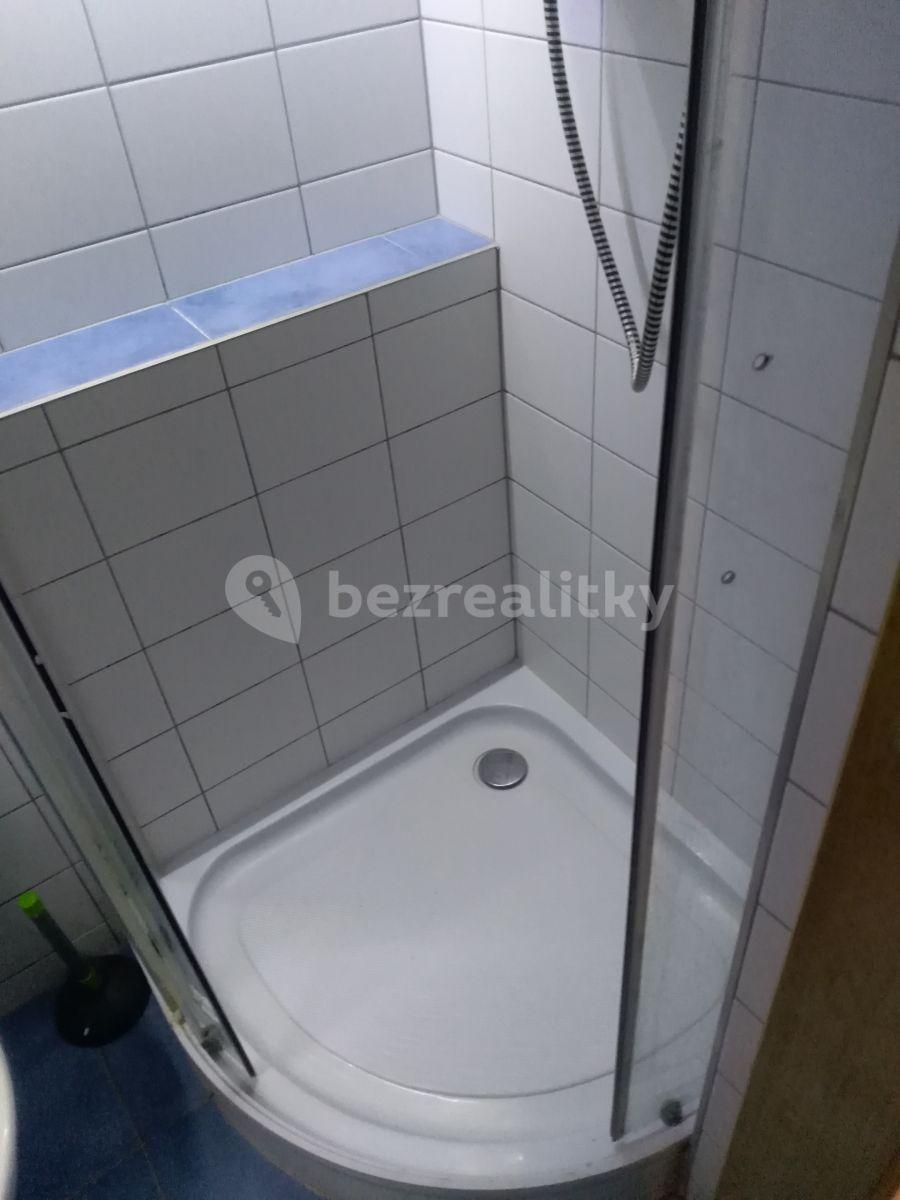 2 bedroom flat to rent, 30 m², Domažlická, Prague, Prague