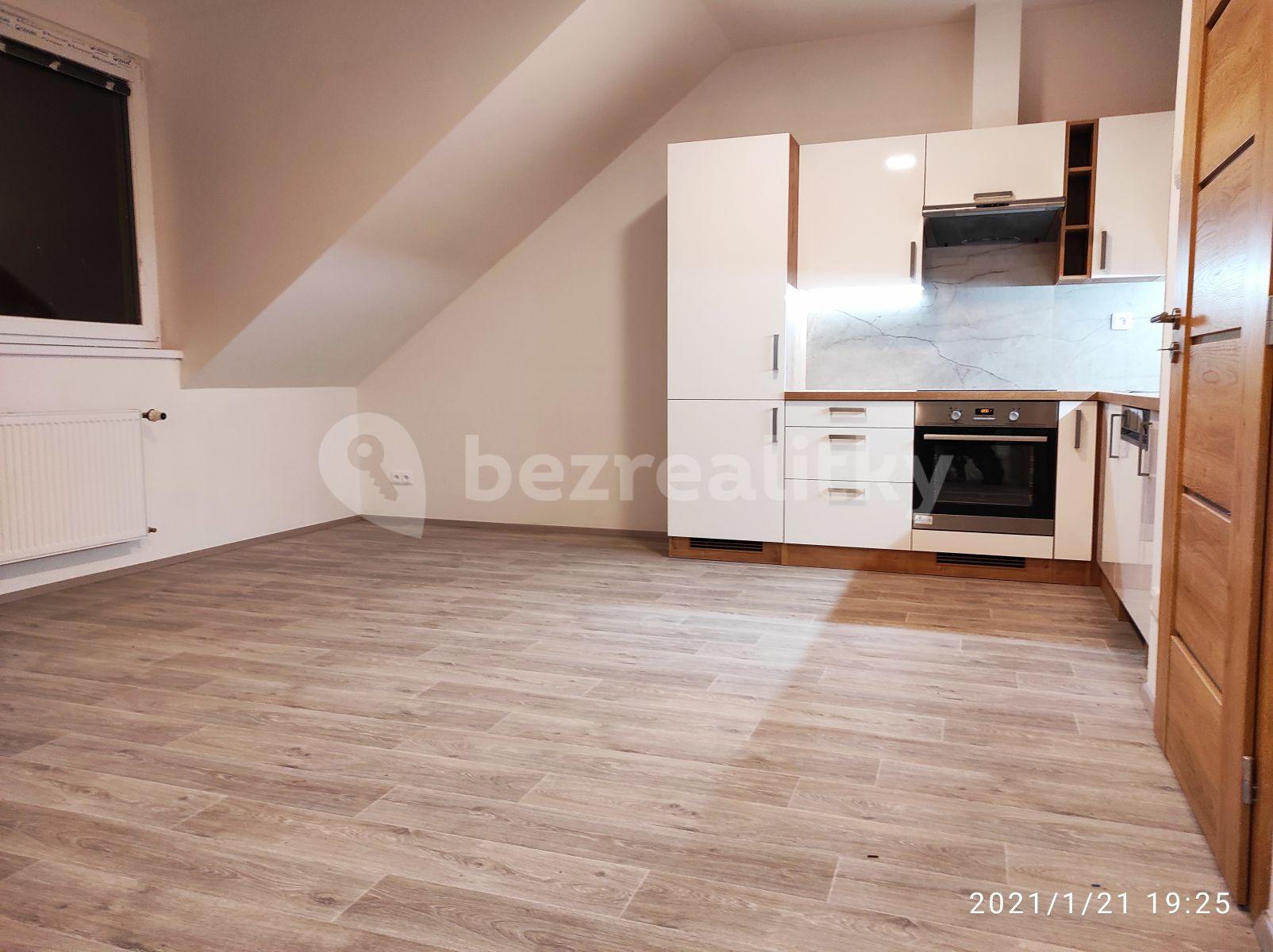 1 bedroom with open-plan kitchen flat to rent, 50 m², Hrdlořezská, Prague, Prague