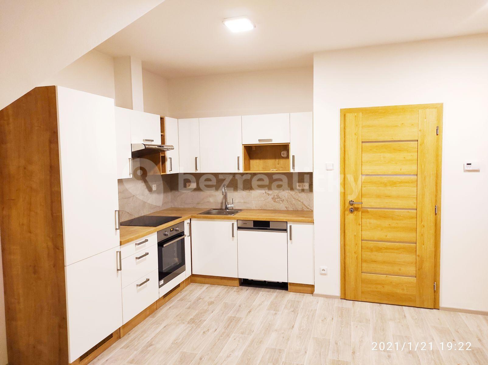 1 bedroom with open-plan kitchen flat to rent, 50 m², Hrdlořezská, Prague, Prague