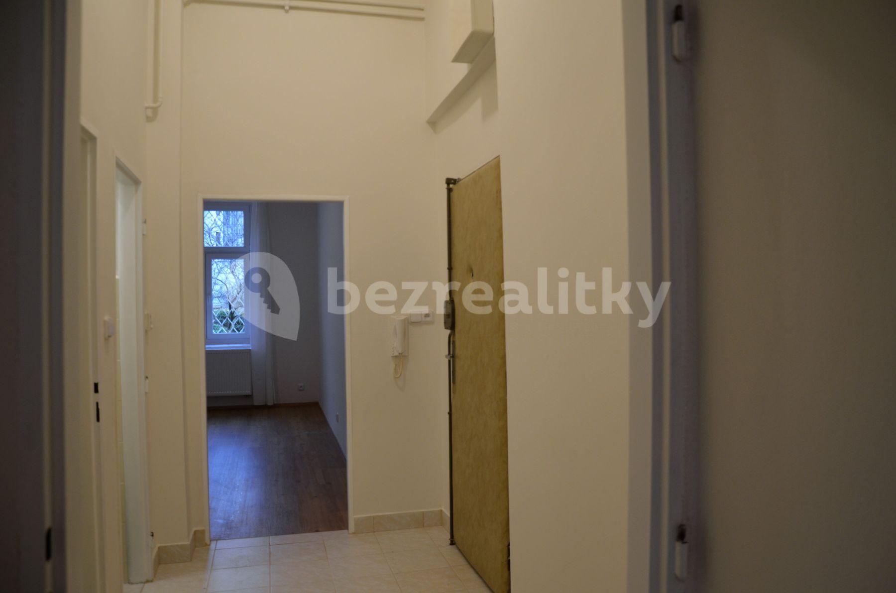 1 bedroom with open-plan kitchen flat to rent, 46 m², Šumavská, Prague, Prague