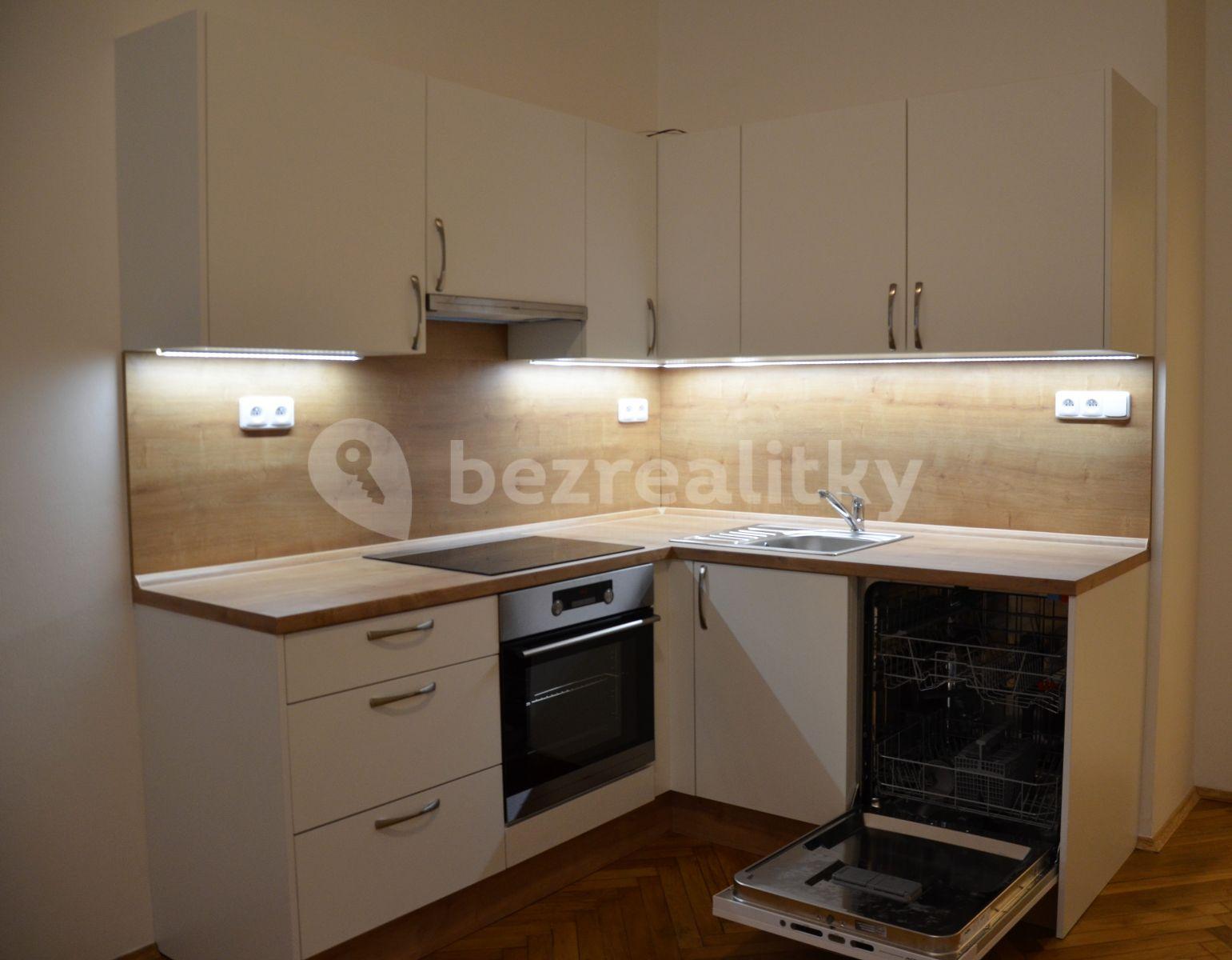 1 bedroom with open-plan kitchen flat to rent, 46 m², Šumavská, Prague, Prague