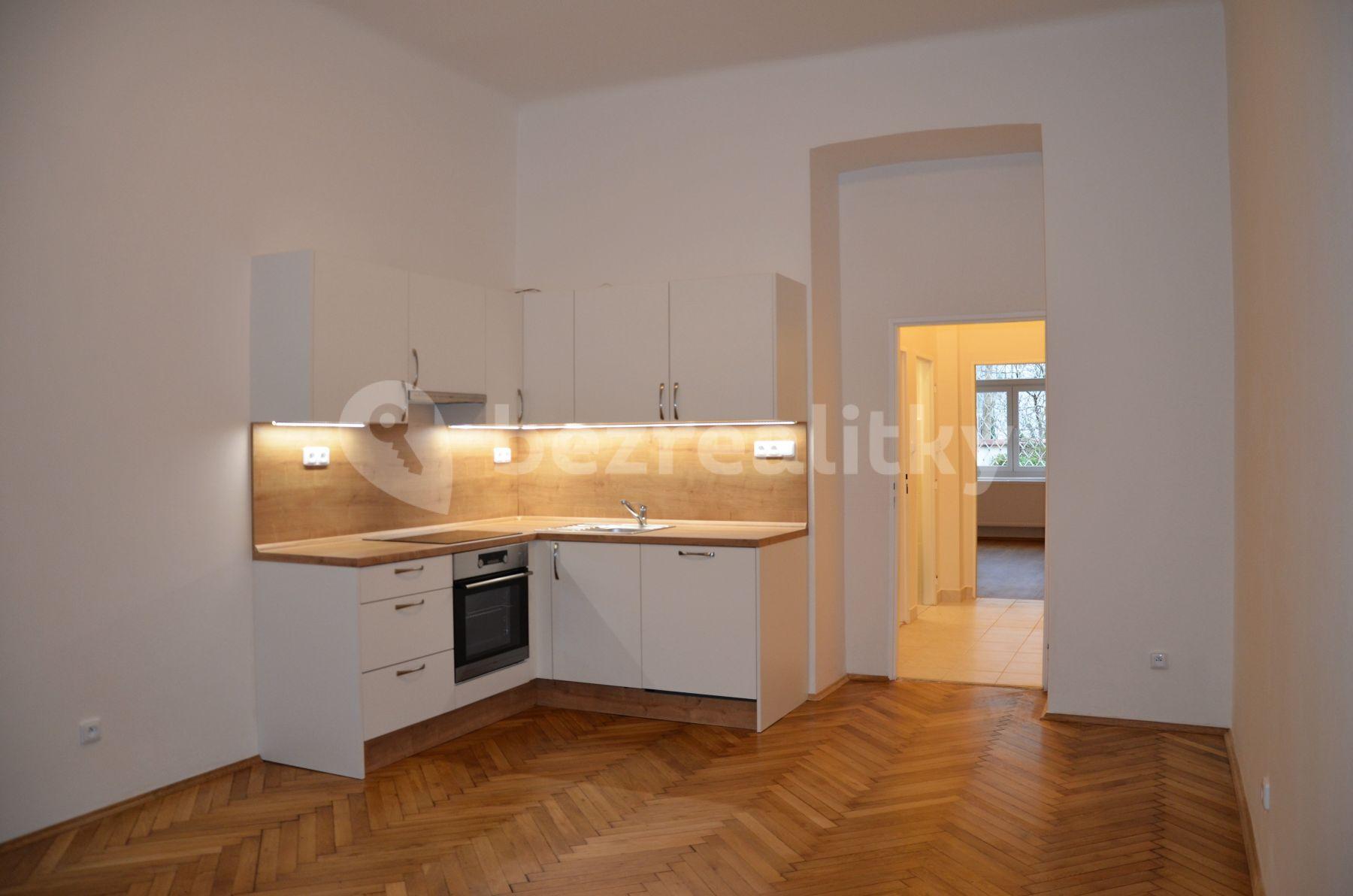 1 bedroom with open-plan kitchen flat to rent, 46 m², Šumavská, Prague, Prague