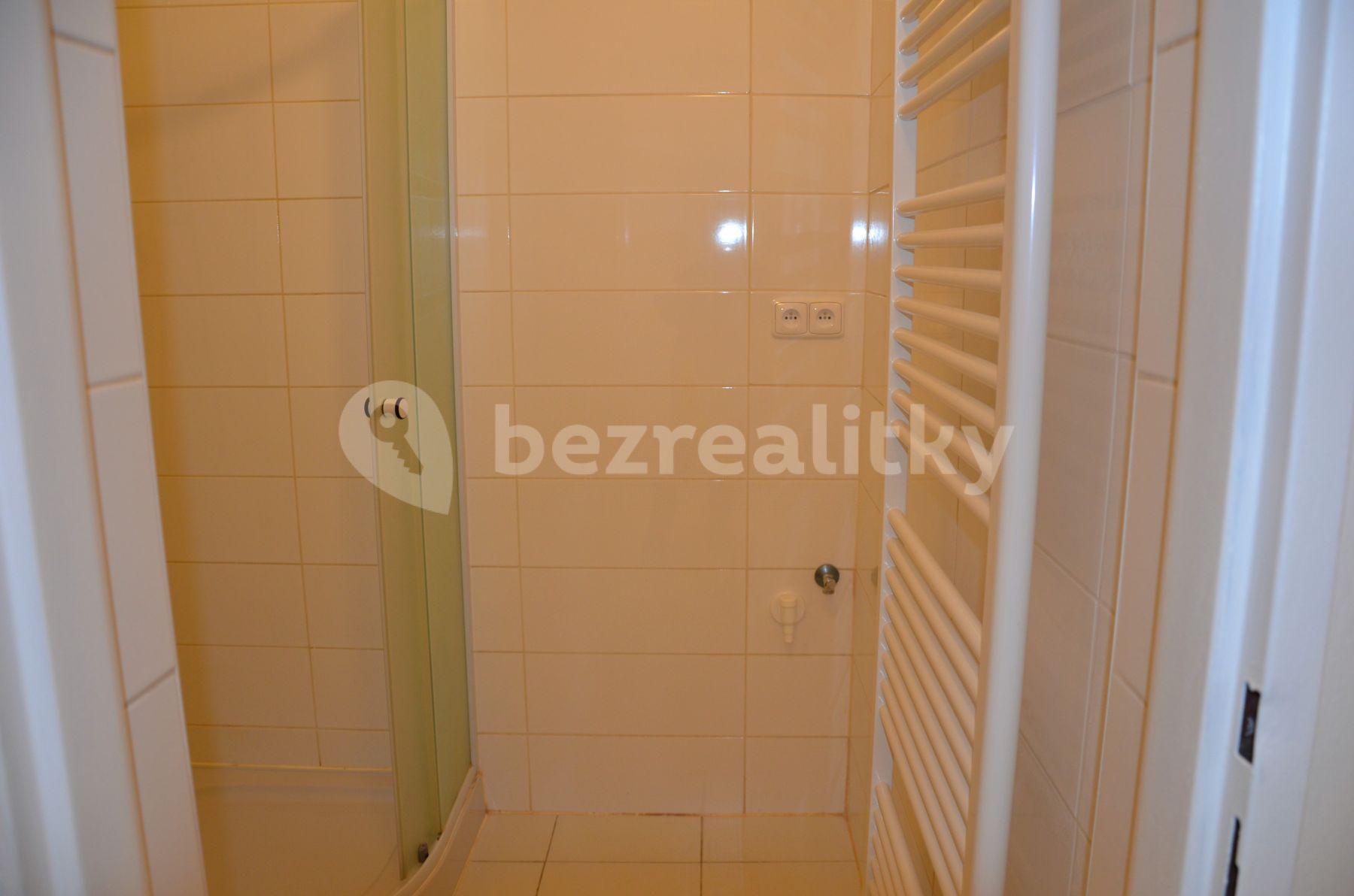 1 bedroom with open-plan kitchen flat to rent, 46 m², Šumavská, Prague, Prague