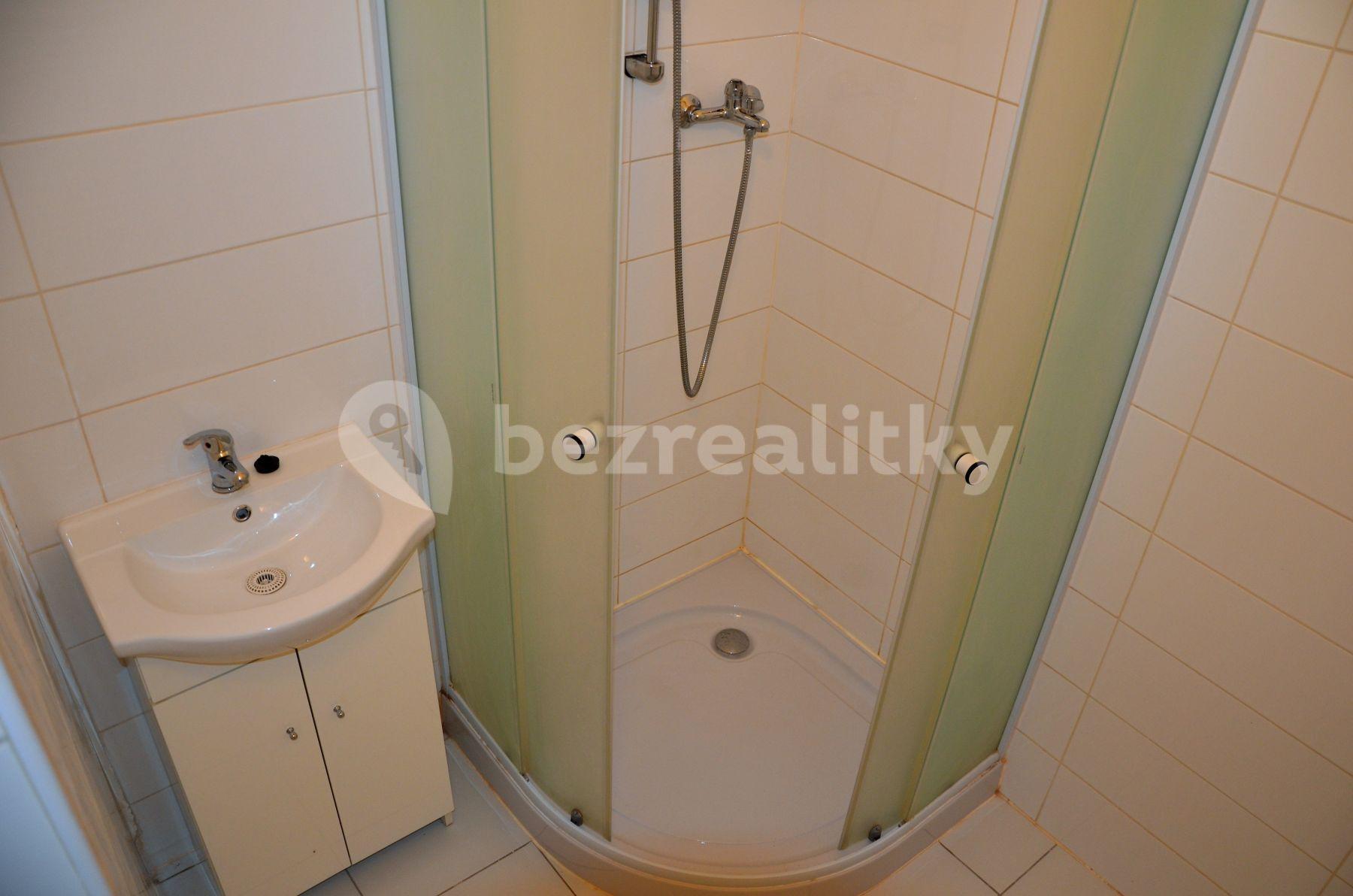 1 bedroom with open-plan kitchen flat to rent, 46 m², Šumavská, Prague, Prague