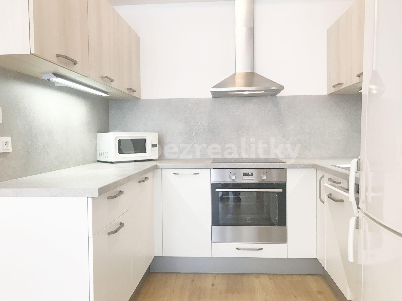 1 bedroom with open-plan kitchen flat to rent, 60 m², Sídlištní, Prague, Prague