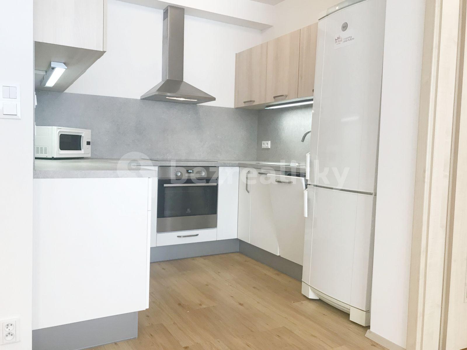 1 bedroom with open-plan kitchen flat to rent, 60 m², Sídlištní, Prague, Prague