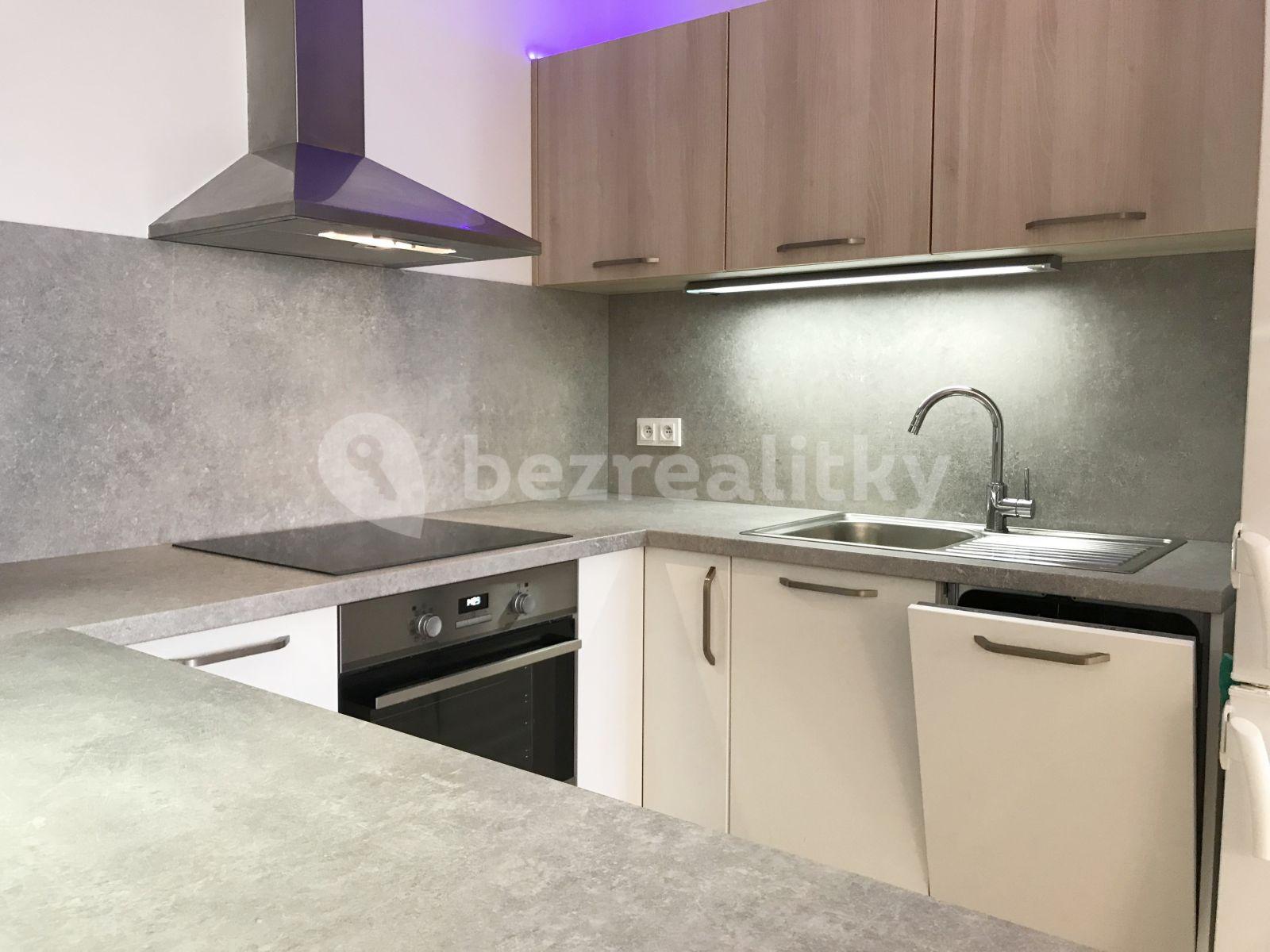 1 bedroom with open-plan kitchen flat to rent, 60 m², Sídlištní, Prague, Prague