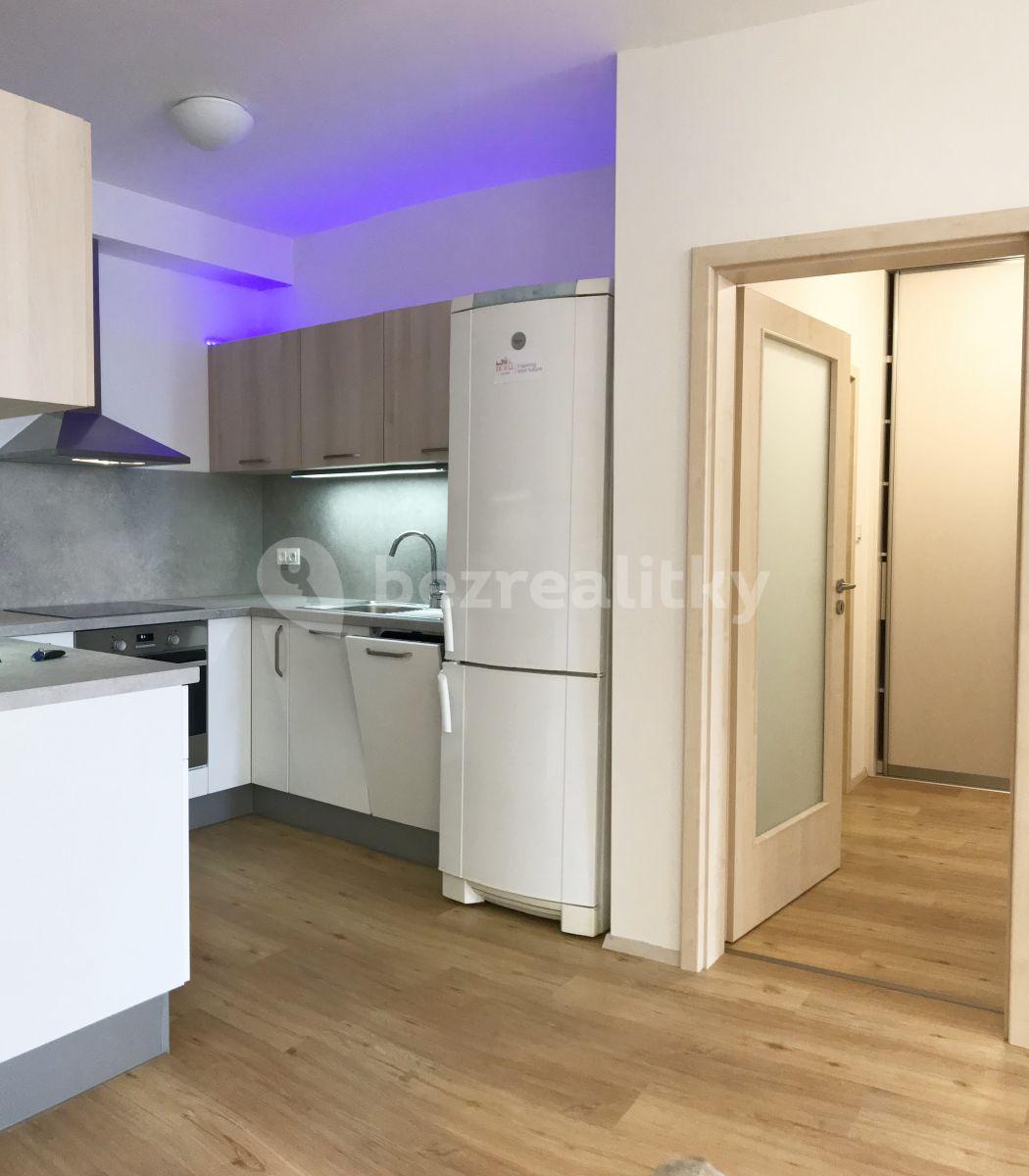 1 bedroom with open-plan kitchen flat to rent, 60 m², Sídlištní, Prague, Prague