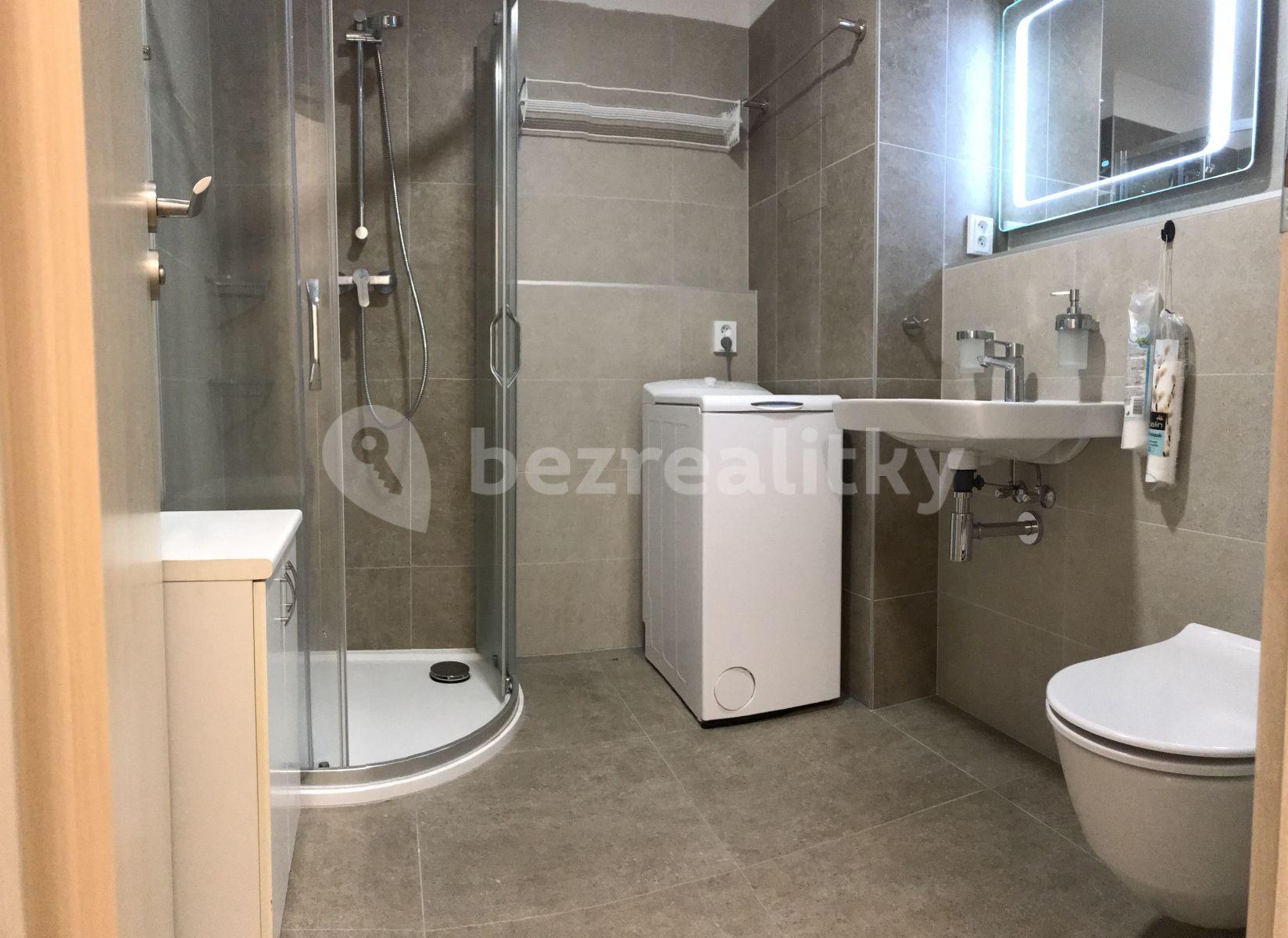 1 bedroom with open-plan kitchen flat to rent, 60 m², Sídlištní, Prague, Prague