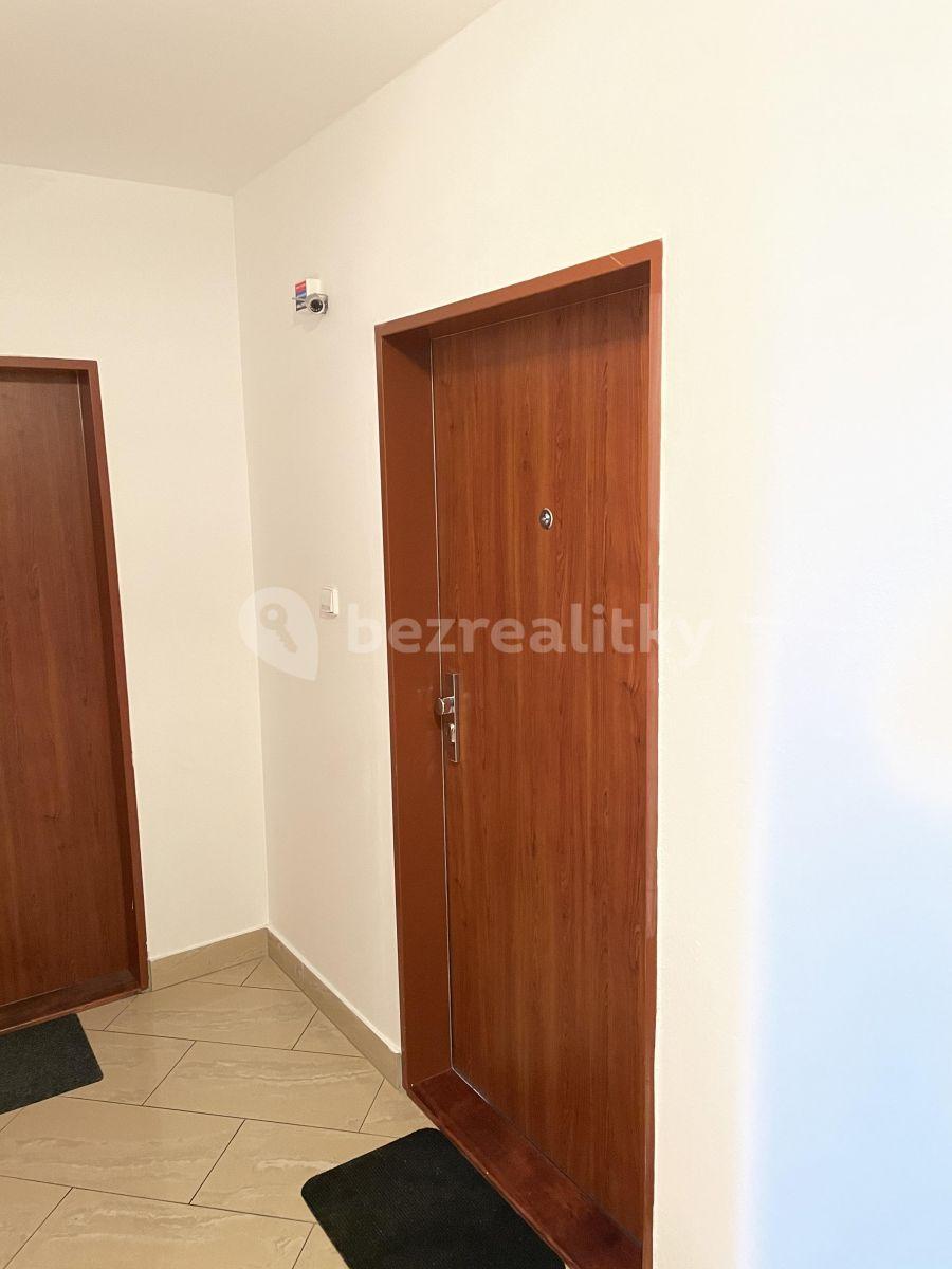 4 bedroom with open-plan kitchen flat to rent, 170 m², Žampiónová, Prague, Prague