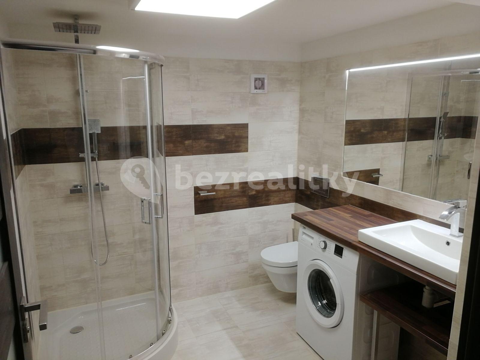 1 bedroom with open-plan kitchen flat to rent, 58 m², Nechanická, Prague, Prague