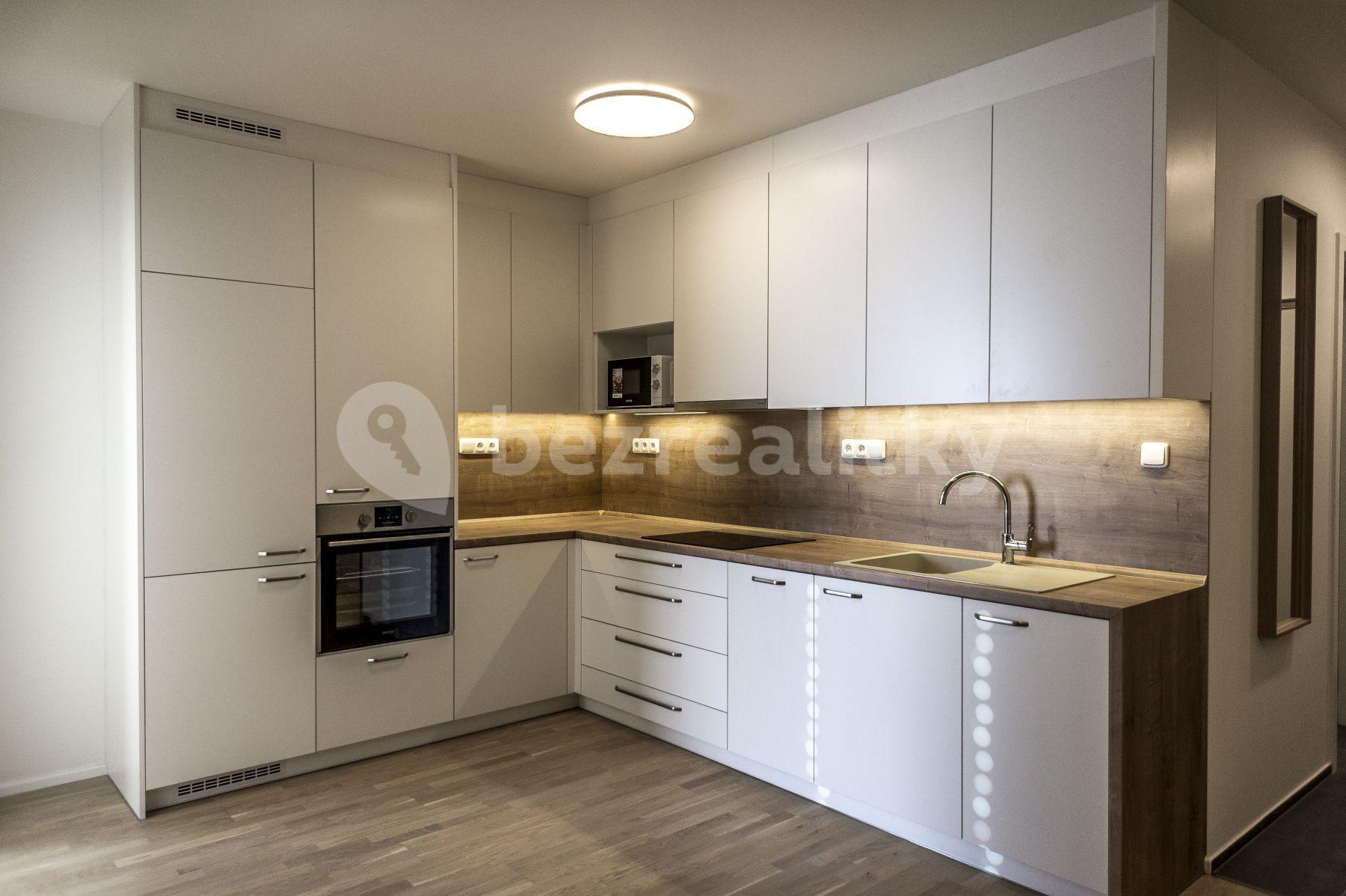 1 bedroom with open-plan kitchen flat to rent, 52 m², Holečkova, Prague, Prague