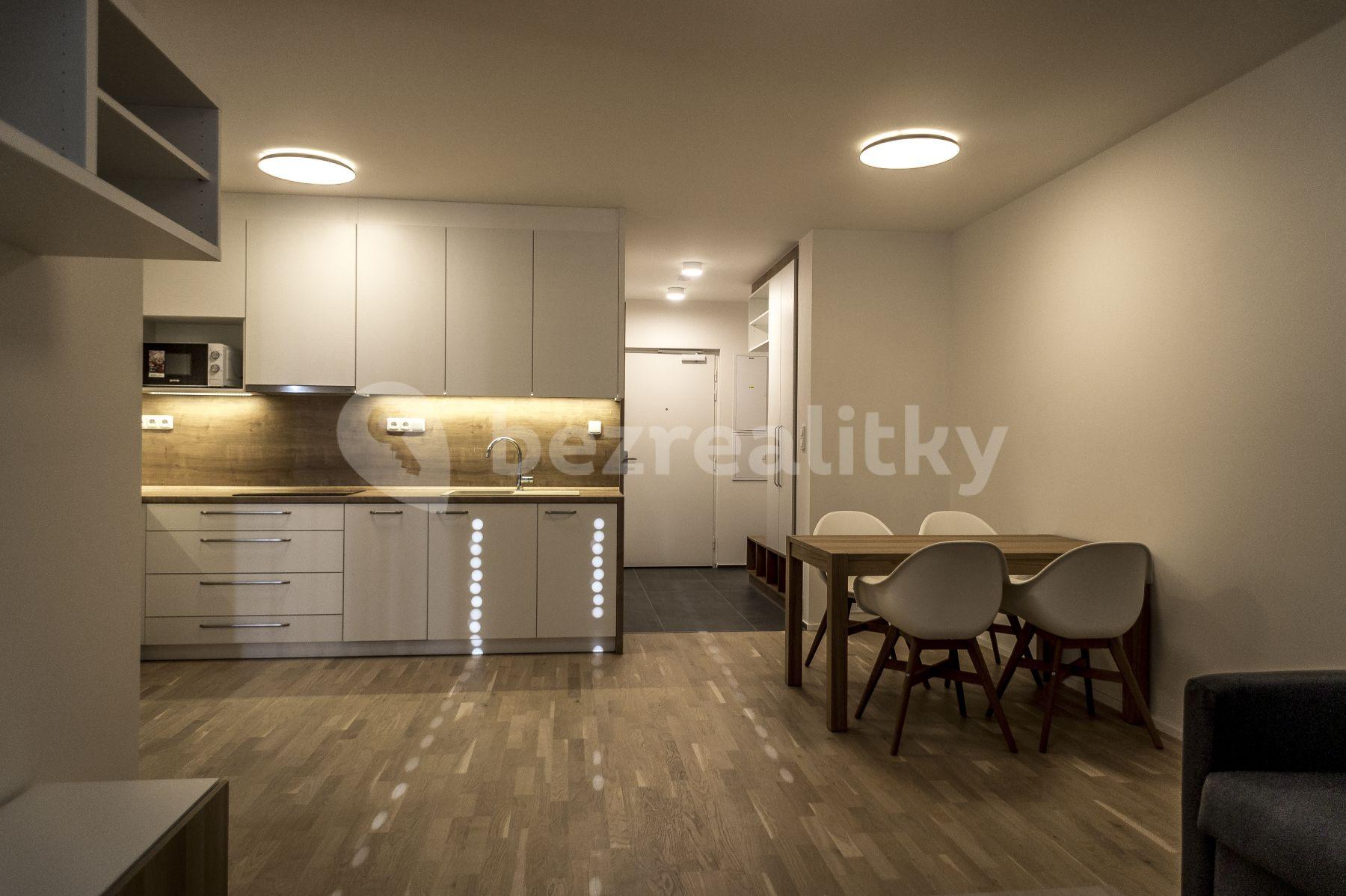 1 bedroom with open-plan kitchen flat to rent, 52 m², Holečkova, Prague, Prague