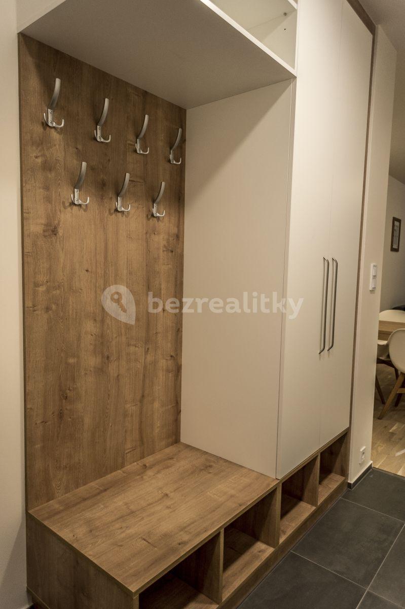 1 bedroom with open-plan kitchen flat to rent, 52 m², Holečkova, Prague, Prague