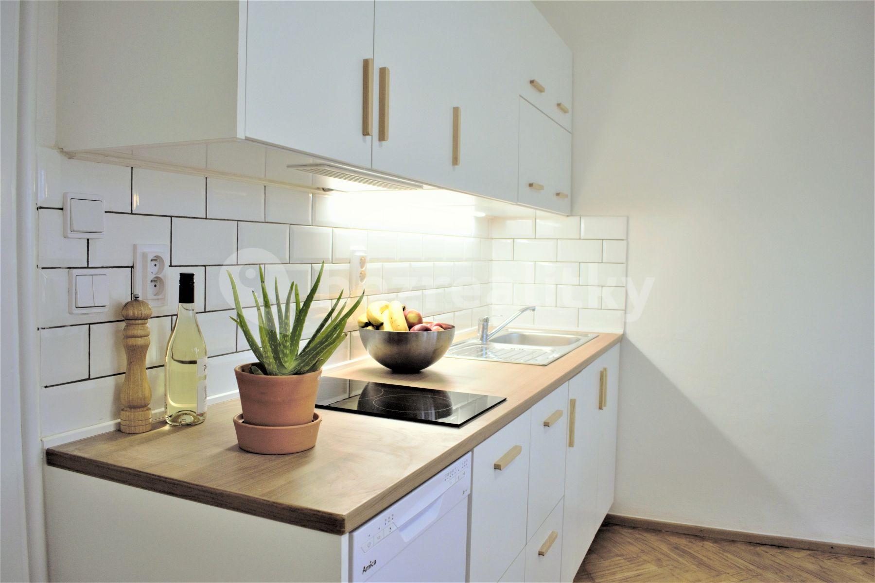 1 bedroom with open-plan kitchen flat to rent, 45 m², Ďáblická, Prague, Prague