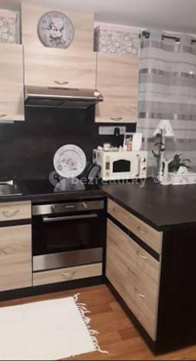 2 bedroom flat to rent, 100 m², Dlouhá, Tehov, Středočeský Region