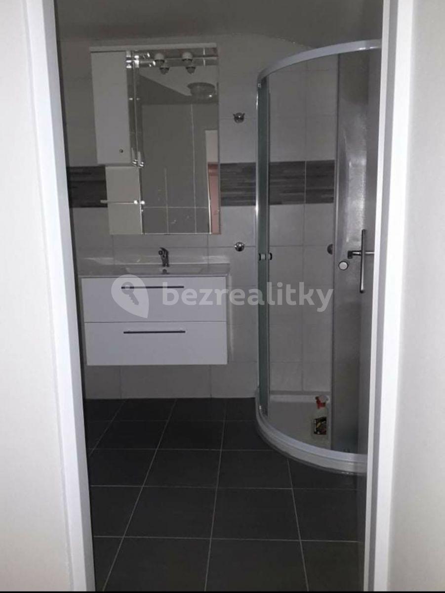 2 bedroom flat to rent, 100 m², Dlouhá, Tehov, Středočeský Region