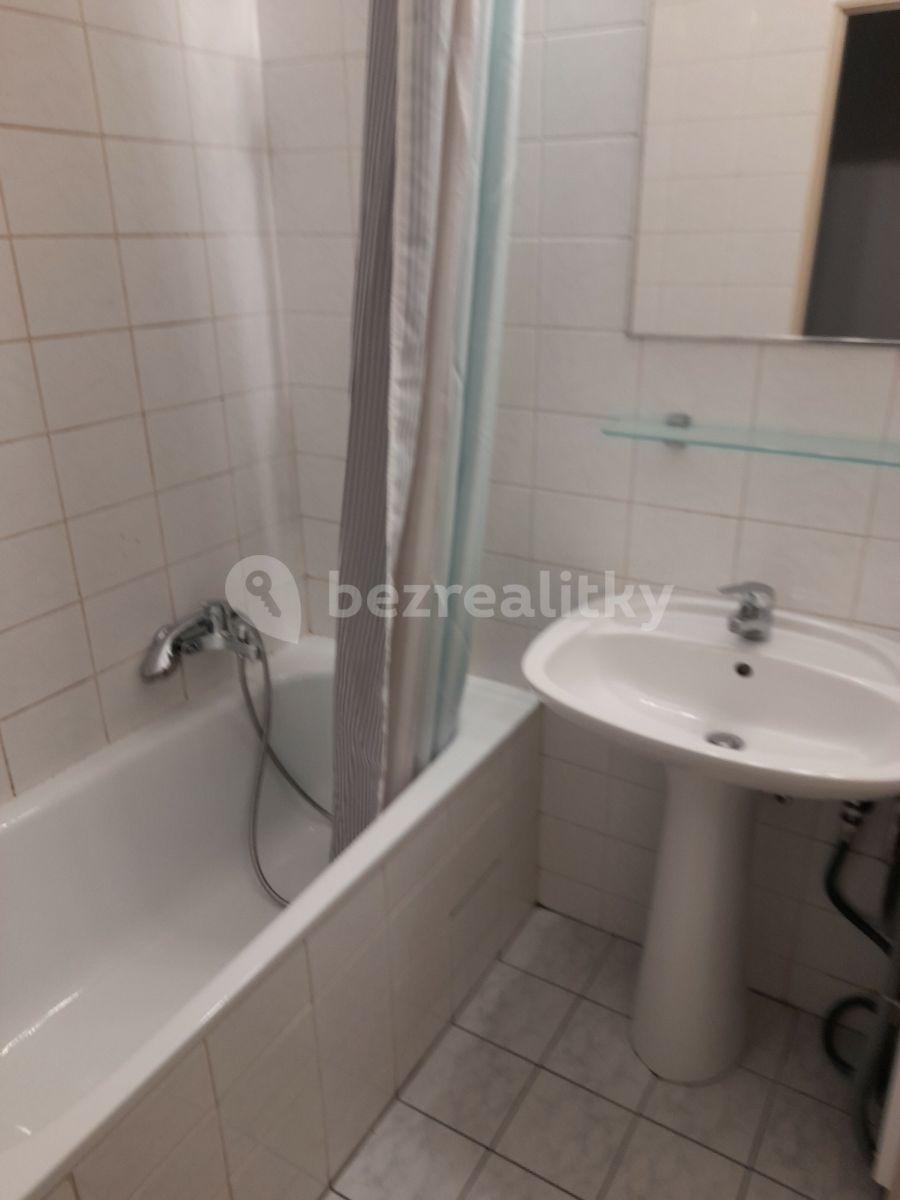 1 bedroom with open-plan kitchen flat to rent, 48 m², Bulharská, Prague, Prague