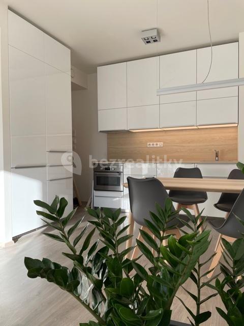 1 bedroom with open-plan kitchen flat to rent, 49 m², Univerzitní, Prague, Prague