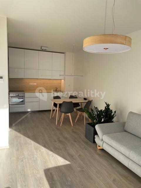 1 bedroom with open-plan kitchen flat to rent, 49 m², Univerzitní, Prague, Prague