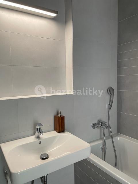 1 bedroom with open-plan kitchen flat to rent, 49 m², Univerzitní, Prague, Prague