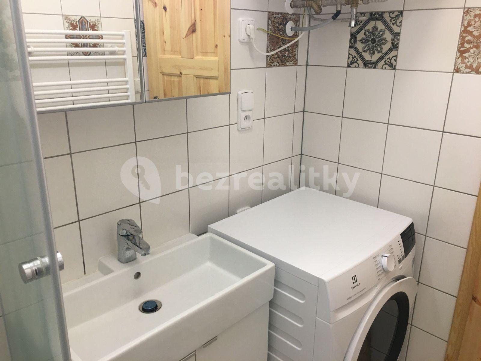 1 bedroom with open-plan kitchen flat to rent, 48 m², Sobotkova, Brno, Jihomoravský Region