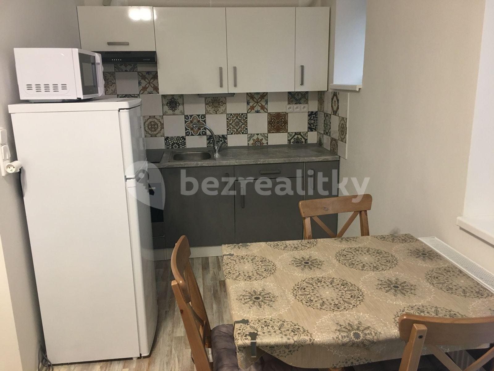 1 bedroom with open-plan kitchen flat to rent, 48 m², Sobotkova, Brno, Jihomoravský Region