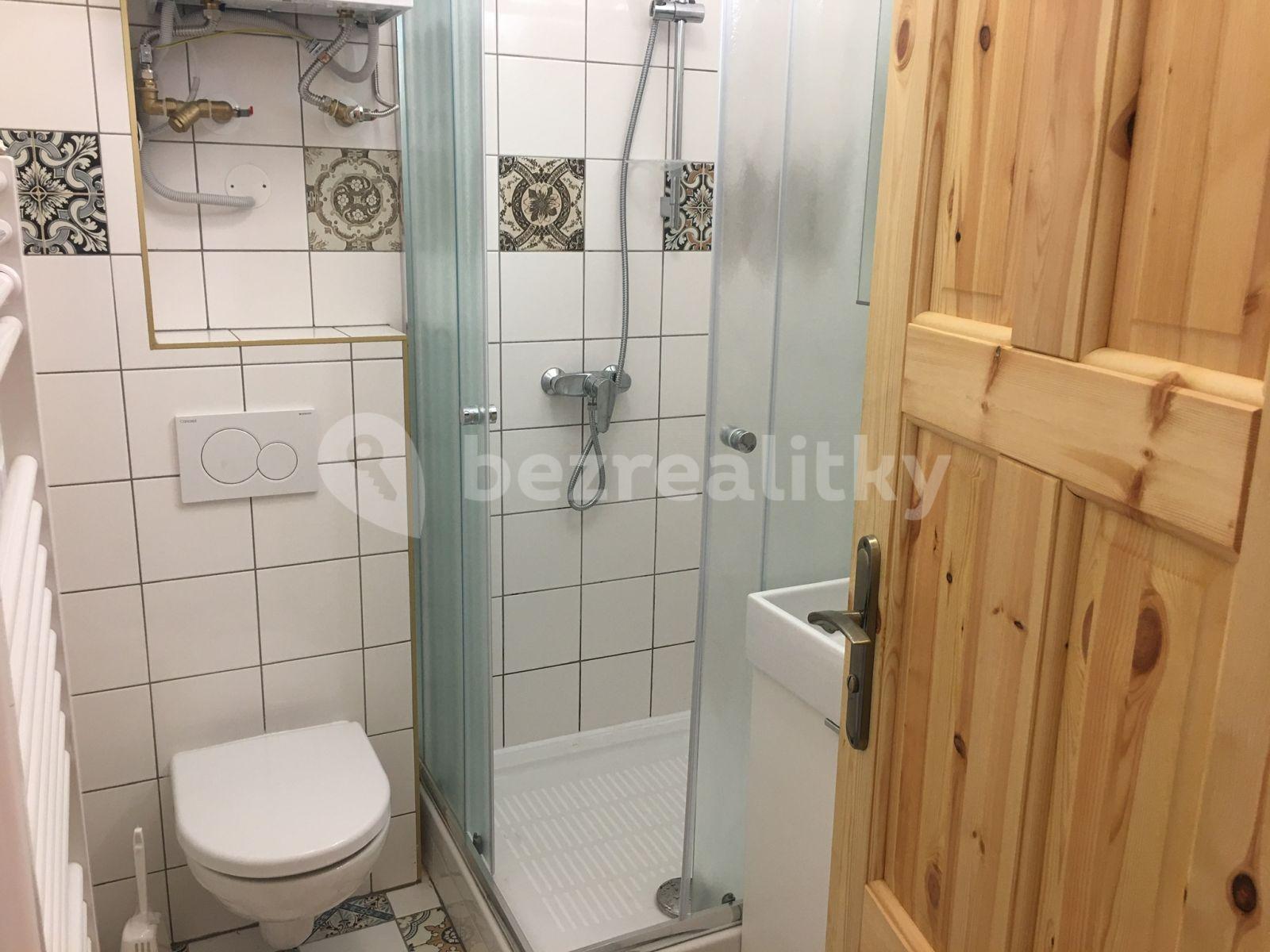 1 bedroom with open-plan kitchen flat to rent, 48 m², Sobotkova, Brno, Jihomoravský Region