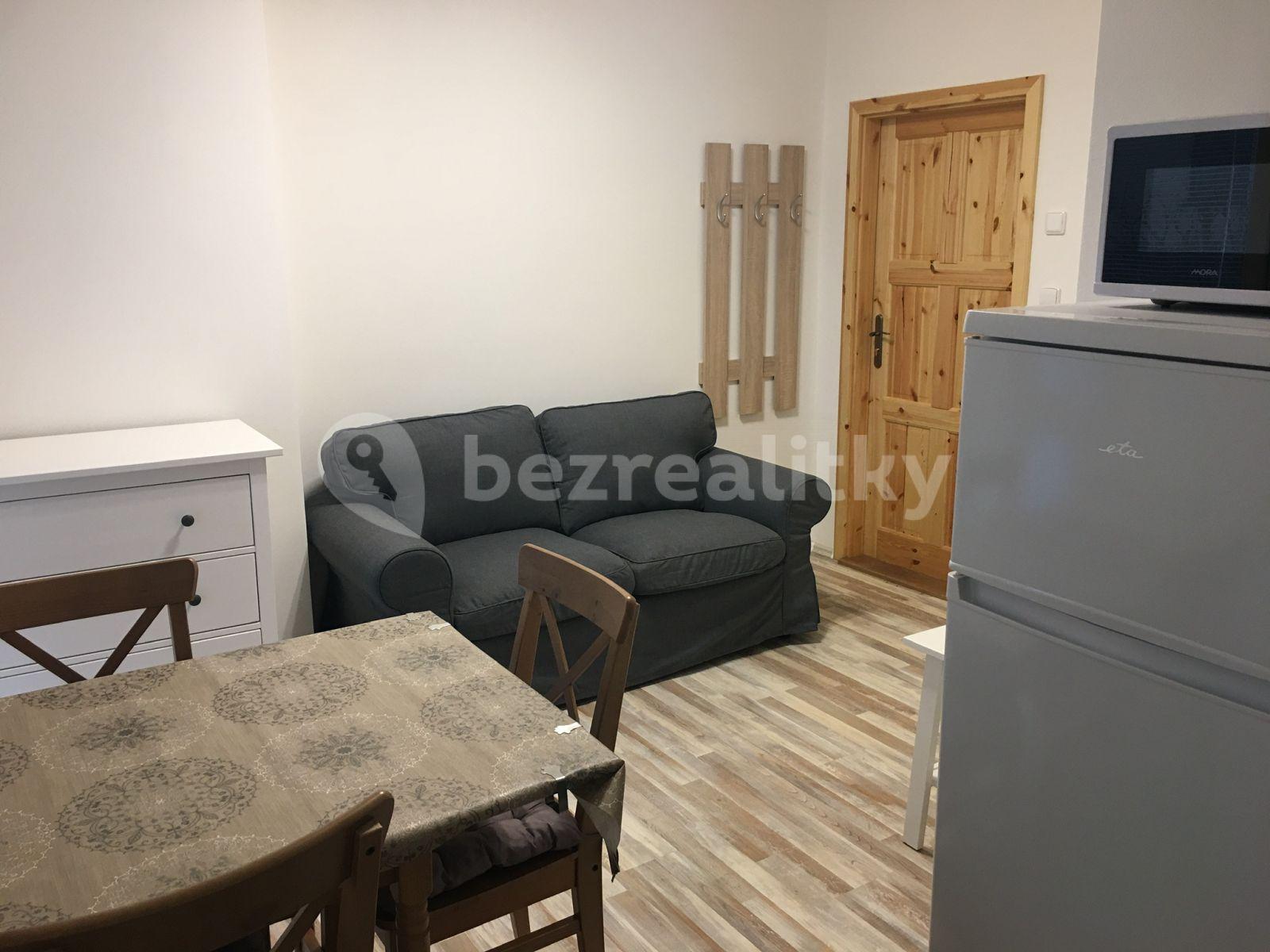 1 bedroom with open-plan kitchen flat to rent, 48 m², Sobotkova, Brno, Jihomoravský Region