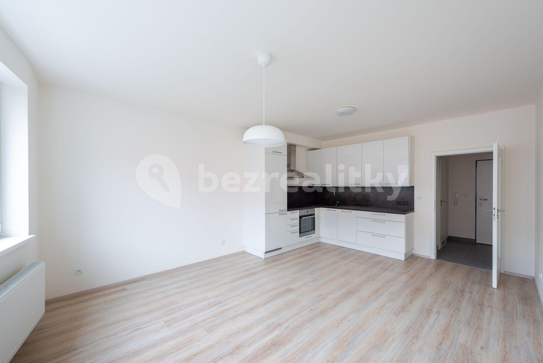 1 bedroom with open-plan kitchen flat to rent, 53 m², Tupolevova, Prague, Prague