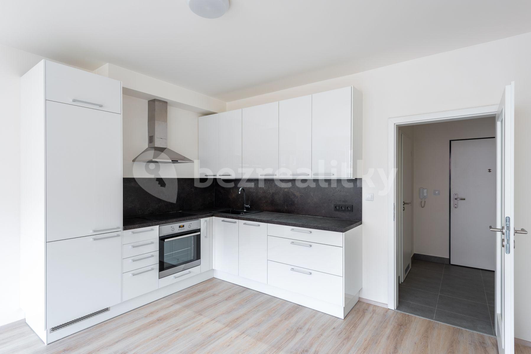 1 bedroom with open-plan kitchen flat to rent, 53 m², Tupolevova, Prague, Prague