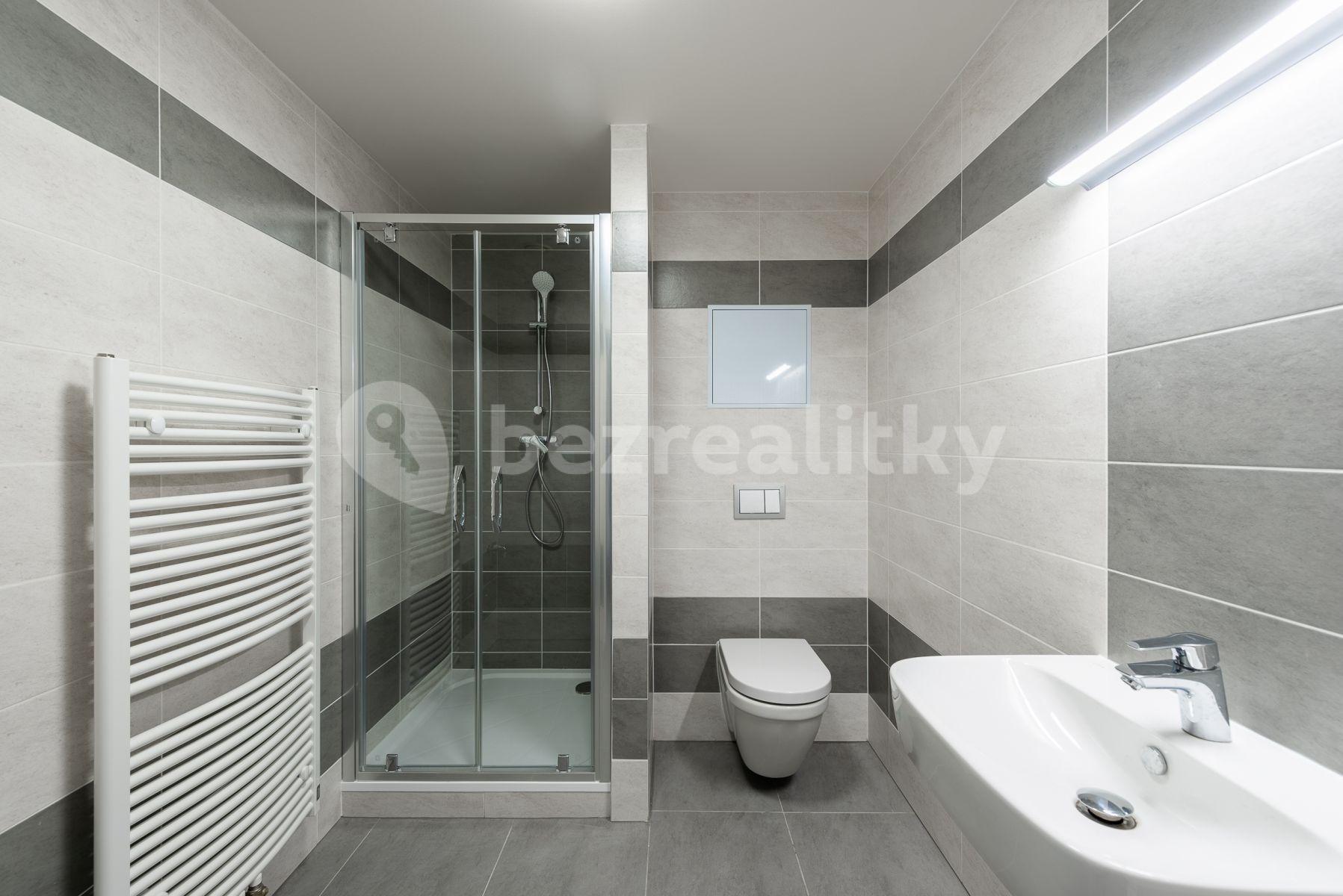 1 bedroom with open-plan kitchen flat to rent, 53 m², Tupolevova, Prague, Prague