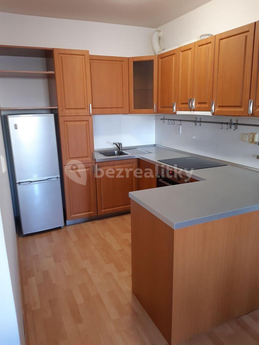 1 bedroom with open-plan kitchen flat to rent, 70 m², Kodymova, Prague, Prague