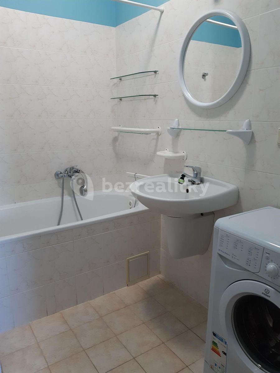 1 bedroom with open-plan kitchen flat to rent, 70 m², Kodymova, Prague, Prague