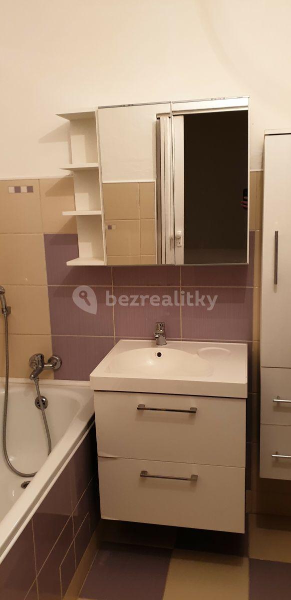 1 bedroom with open-plan kitchen flat to rent, 57 m², Malířská, Prague, Prague