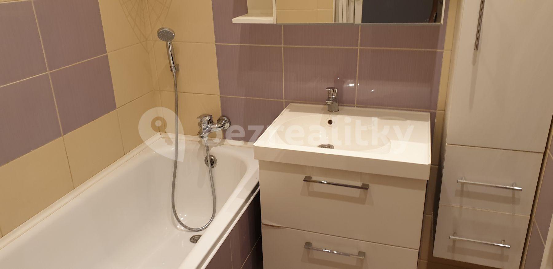 1 bedroom with open-plan kitchen flat to rent, 57 m², Malířská, Prague, Prague