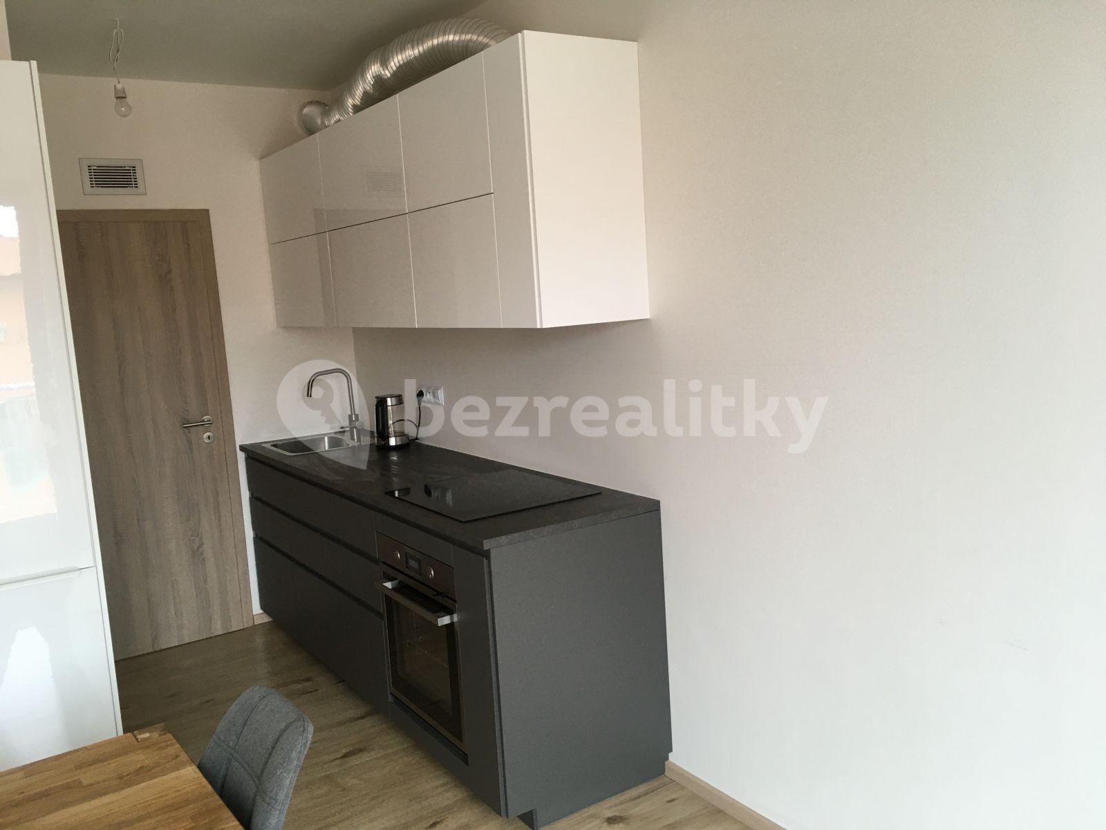 1 bedroom with open-plan kitchen flat to rent, 54 m², Fojtova, Prague, Prague