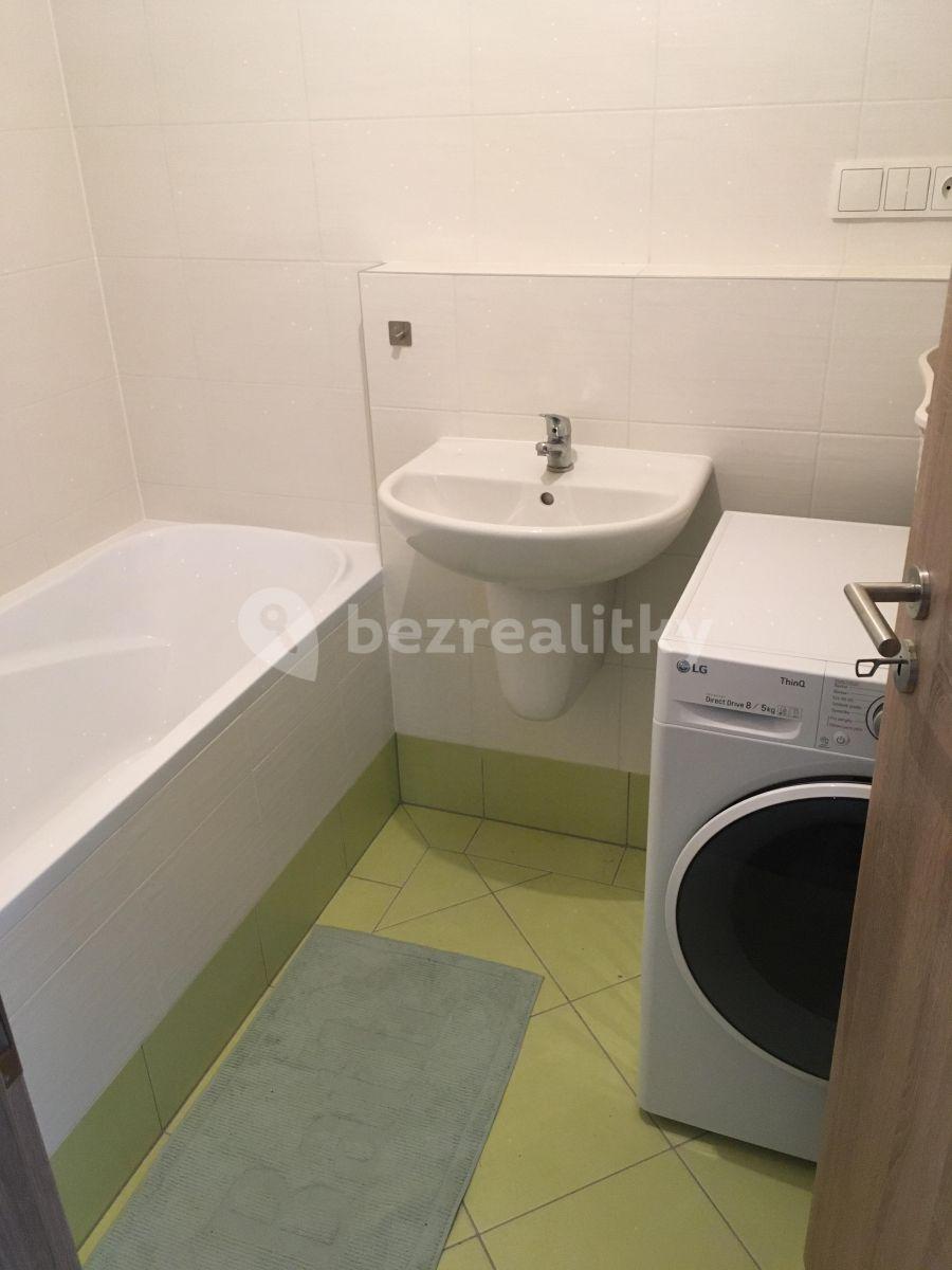 1 bedroom with open-plan kitchen flat to rent, 54 m², Fojtova, Prague, Prague