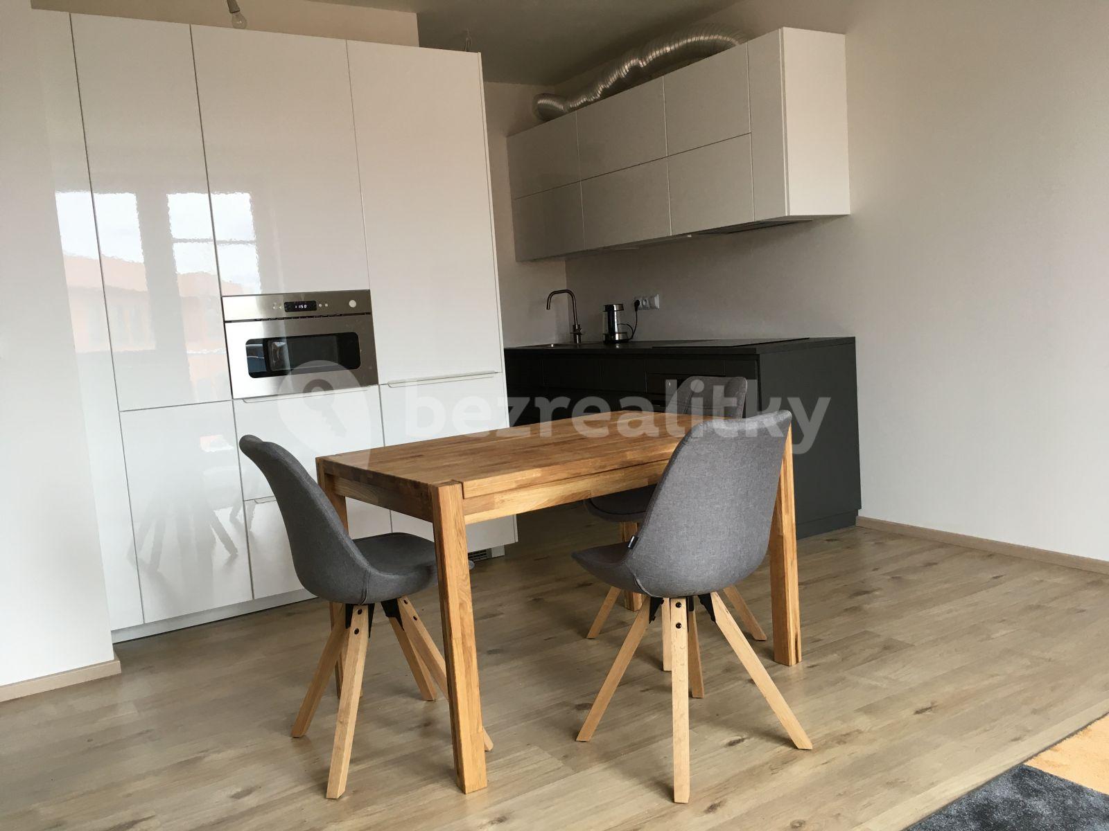 1 bedroom with open-plan kitchen flat to rent, 54 m², Fojtova, Prague, Prague