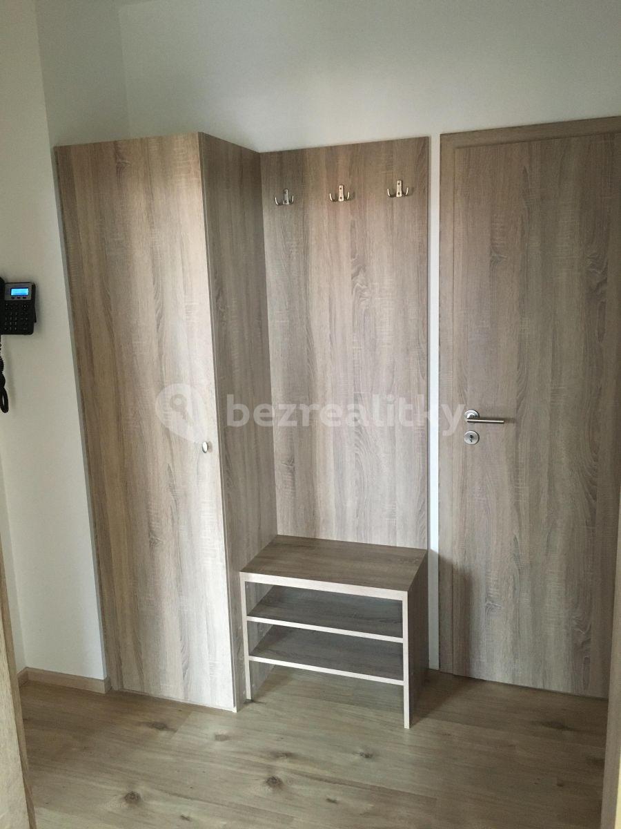 1 bedroom with open-plan kitchen flat to rent, 54 m², Fojtova, Prague, Prague