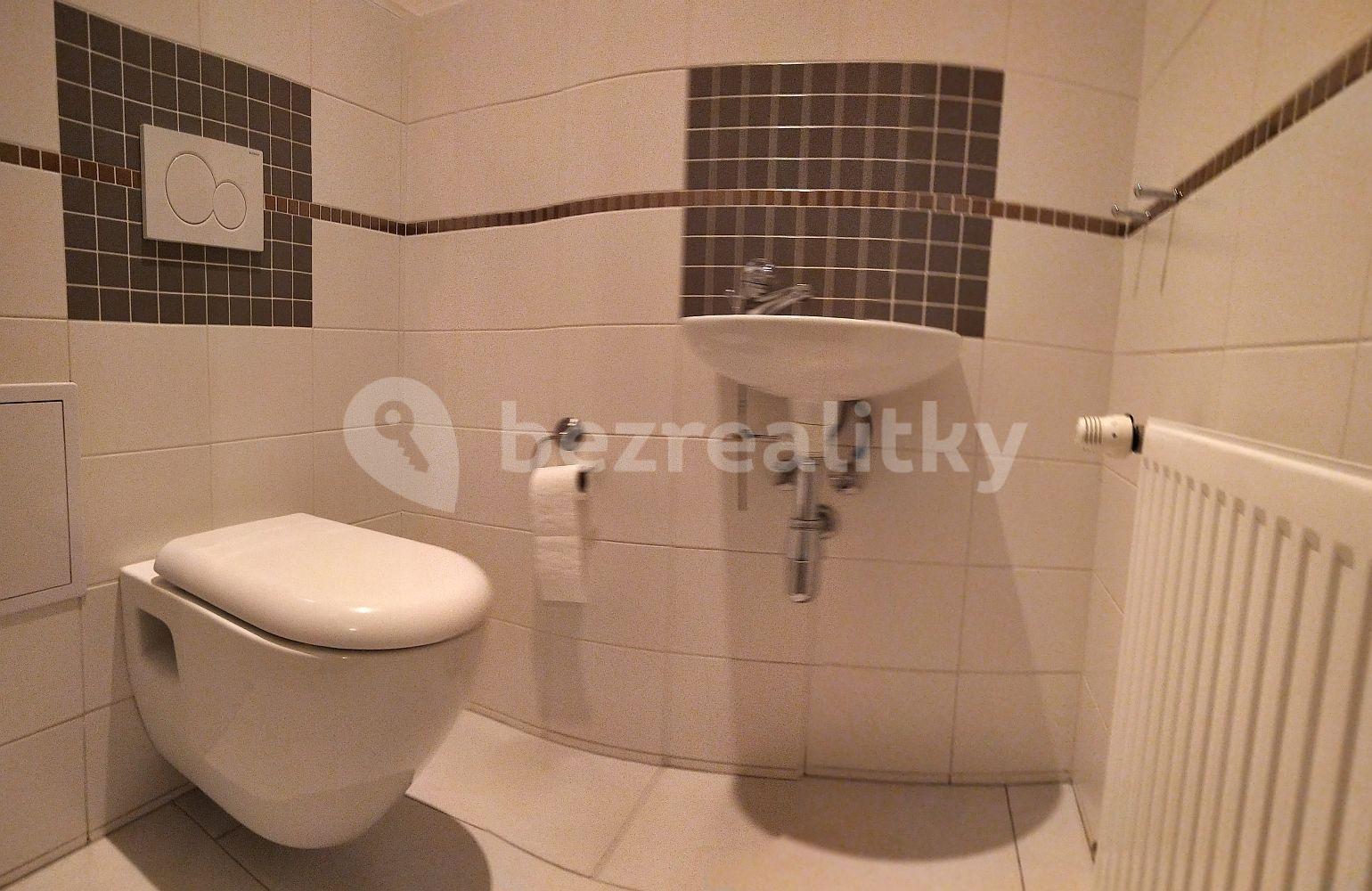 1 bedroom with open-plan kitchen flat to rent, 56 m², Kroftova, Prague, Prague