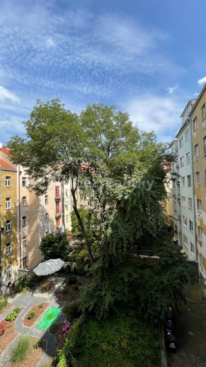 Small studio flat to rent, 28 m², Velehradská, Prague, Prague