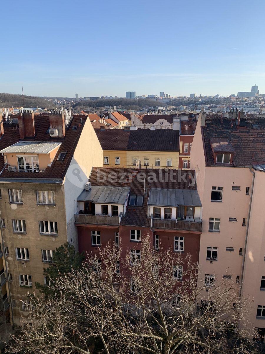 1 bedroom with open-plan kitchen flat to rent, 80 m², Madridská, Prague, Prague