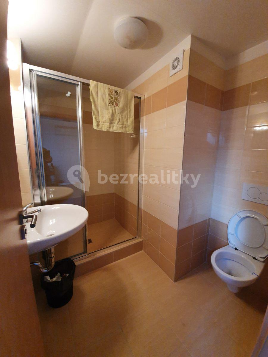 Small studio flat to rent, 28 m², Husova, Říčany, Středočeský Region