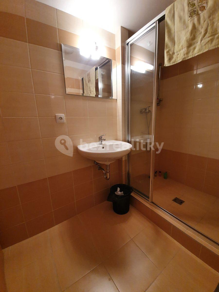 Small studio flat to rent, 28 m², Husova, Říčany, Středočeský Region