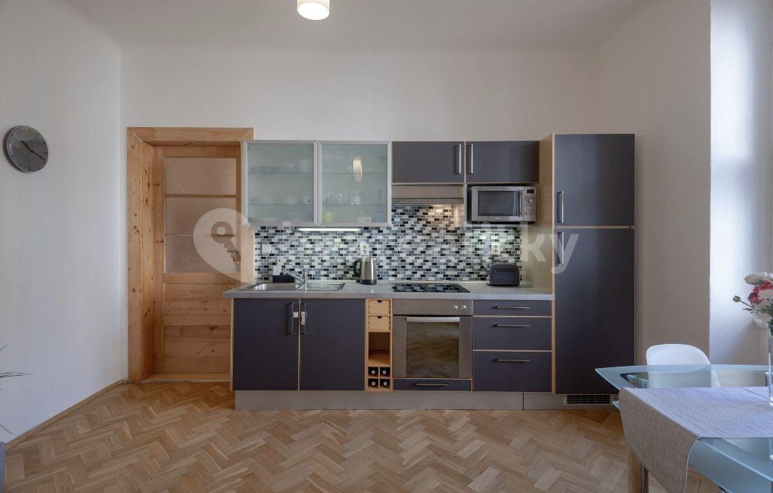 1 bedroom with open-plan kitchen flat to rent, 58 m², Jičínská, Prague, Prague